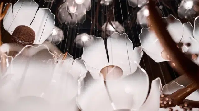 One&Only One Za’abeel